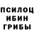 Псилоцибиновые грибы Cubensis Ingvar Grimdal