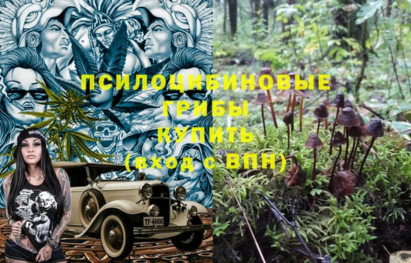 каннабис Алзамай