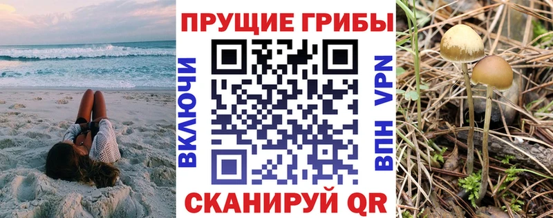 Псилоцибиновые грибы Magic Shrooms  Нарткала 